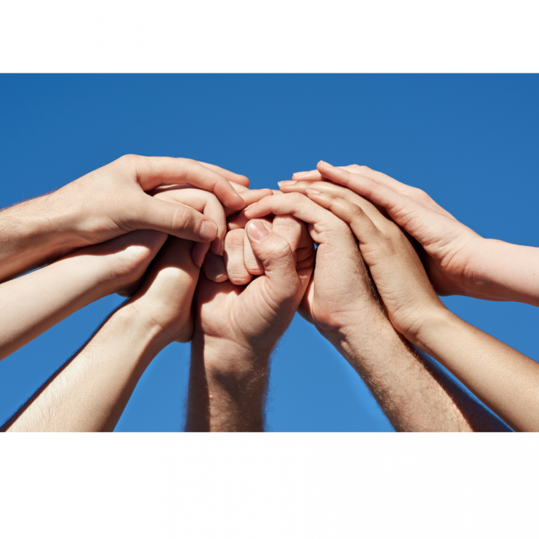 Pastures New Plans for the future Kirklees Calderdale and Kirklees Recovery College